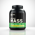 Optimum Nutrition Serious Mass